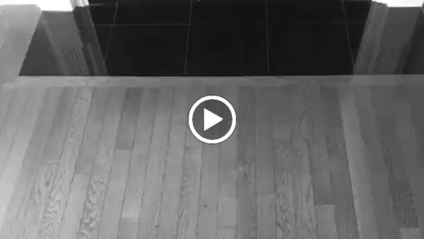 Moen Chem-Dry Carpet Cleaning