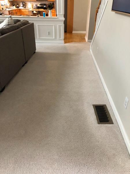 Eco Fusion Carpet Care & Upholstery Cleaning