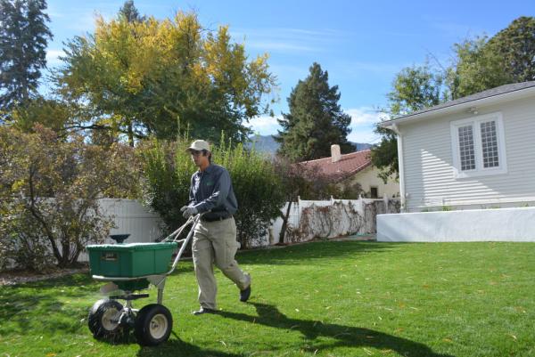 Integrated Lawn Care