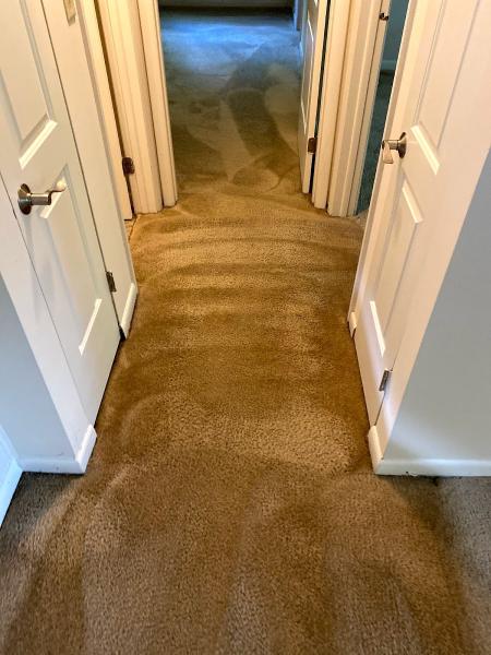 Capital Region Carpet Cleaning LLC