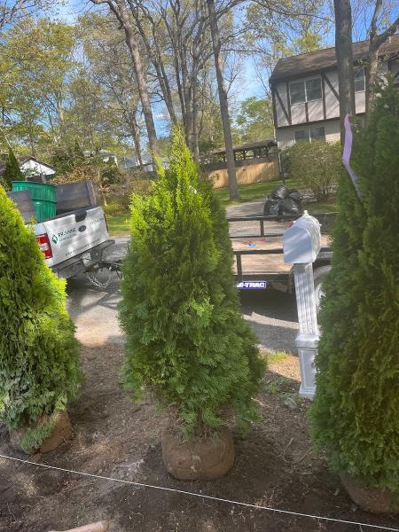RR Shine Landscaping
