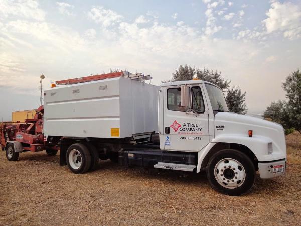 A Tree Company