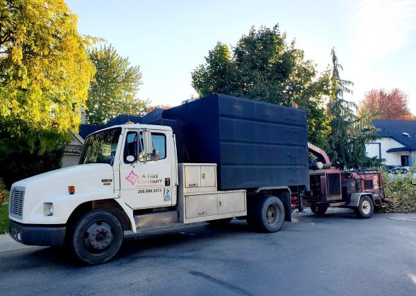 A Tree Company