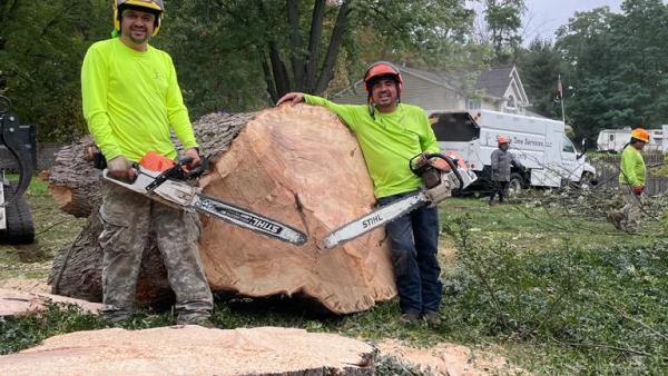 Simple Tree Services LLC
