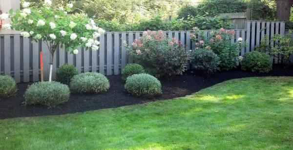 All Lawn Care