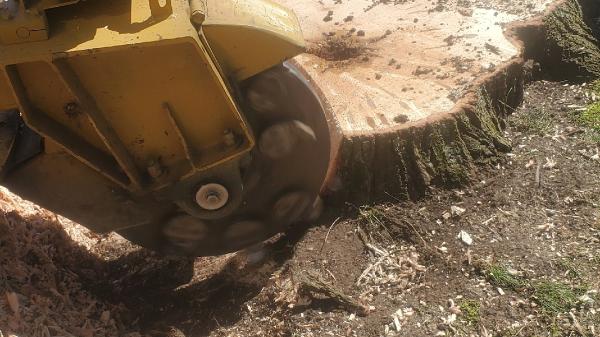 Chop & Chip Tree Service LLC