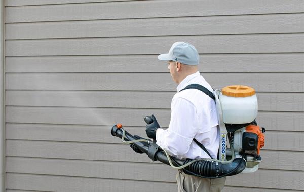 Around the Block Pest Control