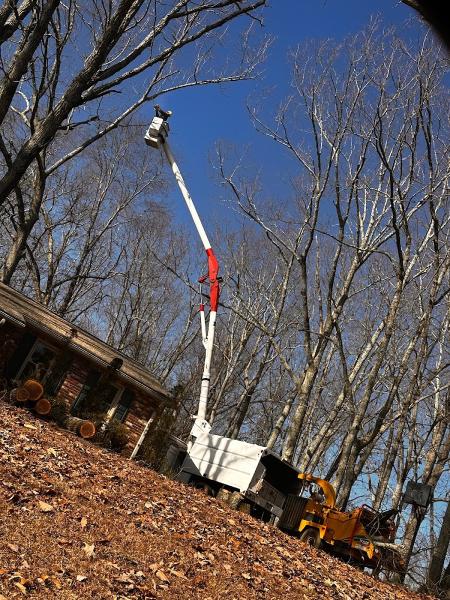 Heavens Gate Tree Service