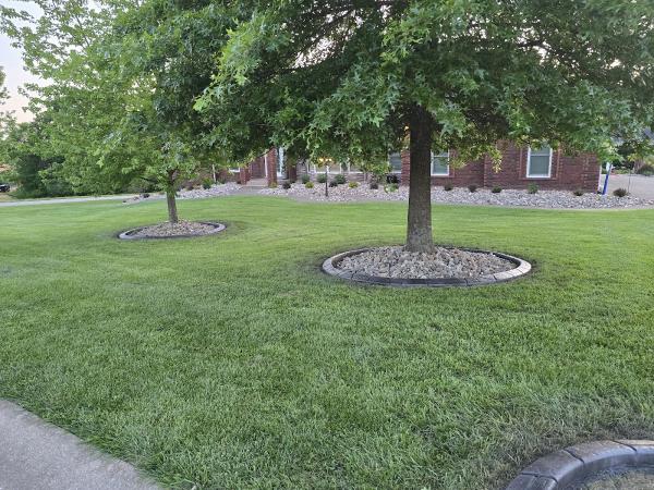 All In One Landscaping & Hardscaping