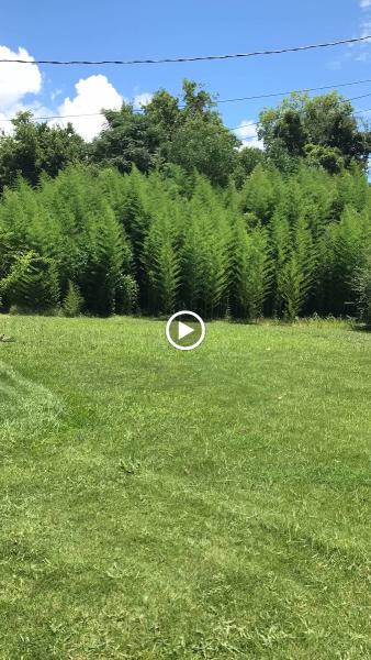 Crawford Lawn Solutions