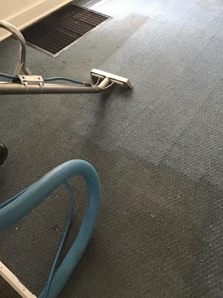 Todds Carpet and Upholstery Care LLC