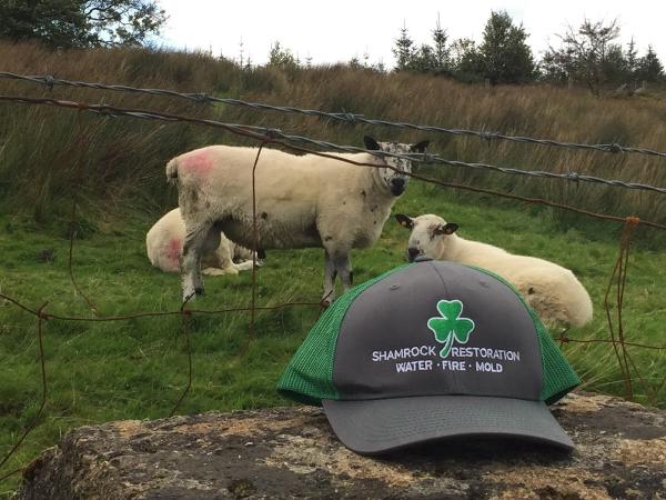 Shamrock Restoration