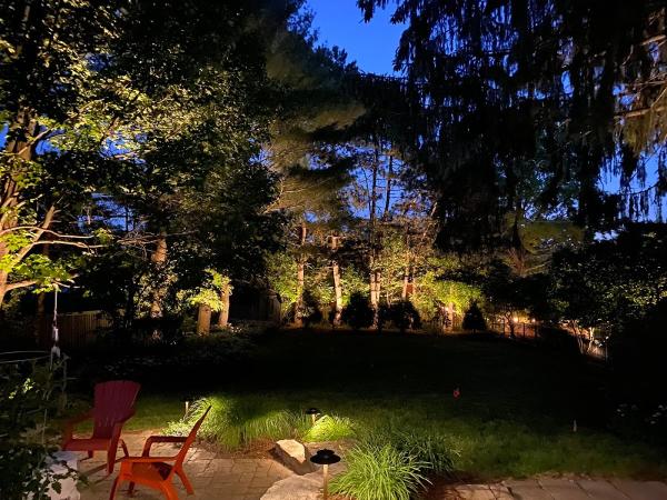 Artistic Outdoor Lighting