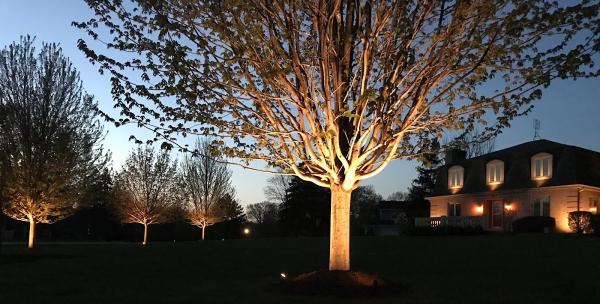 Artistic Outdoor Lighting
