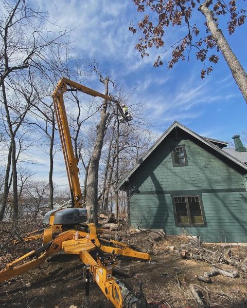 Rdgzmke Tree Removal