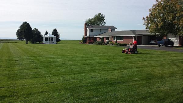 Integrity Lawn Care LLC