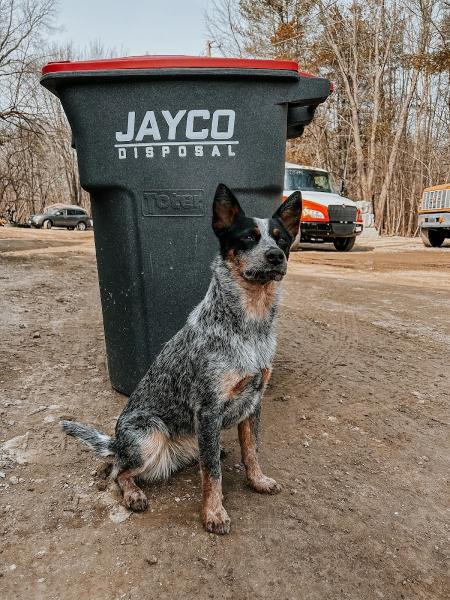 Jayco Disposal