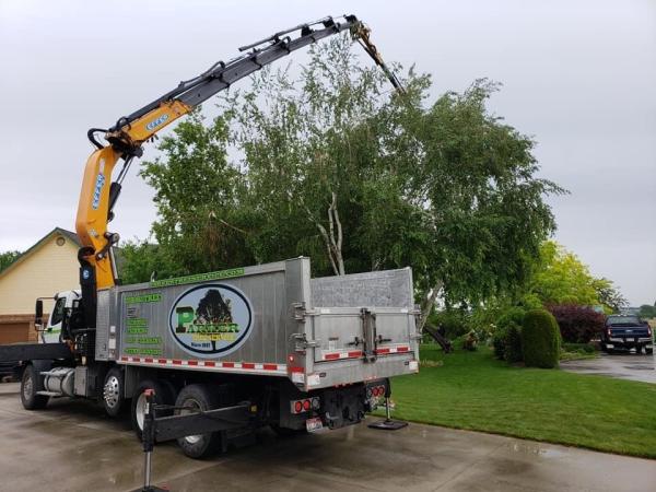 Parker Tree Service