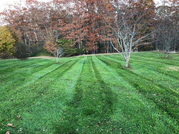 Tony's Yard Services LLC