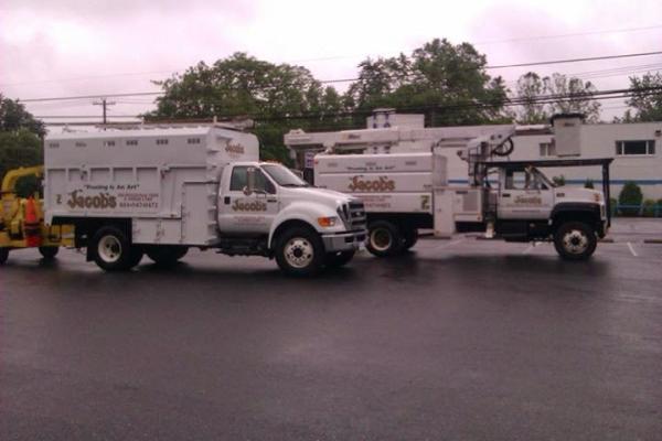Jacob's Professional Tree & Shrub Care