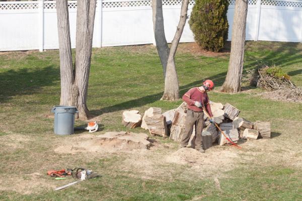 Jacob's Professional Tree & Shrub Care