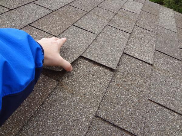 Crest Home Inspections