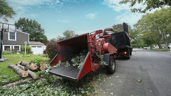 Jtree Service