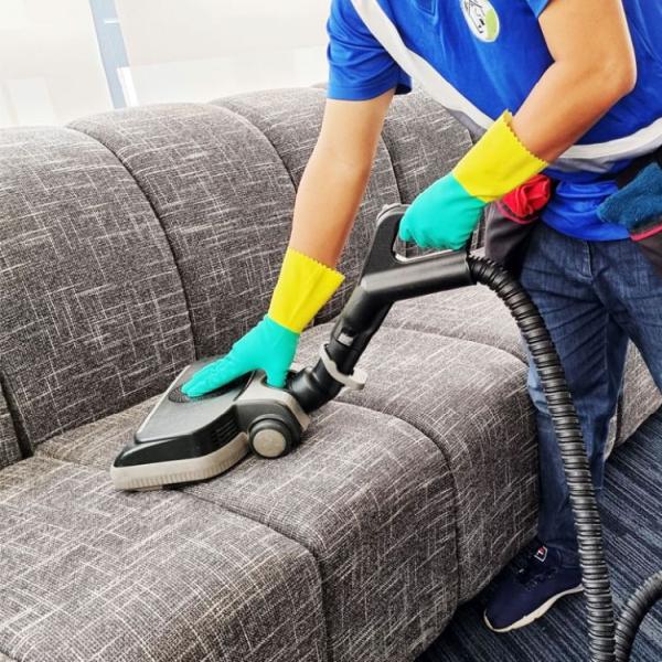 My Steam Green Carpet Cleaning Ventura County