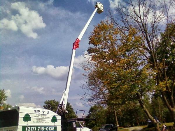 Trees R Us Inc.