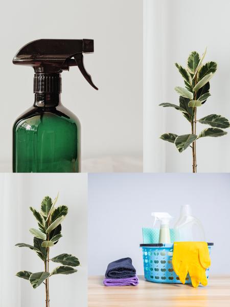 Mountain House Cleaning