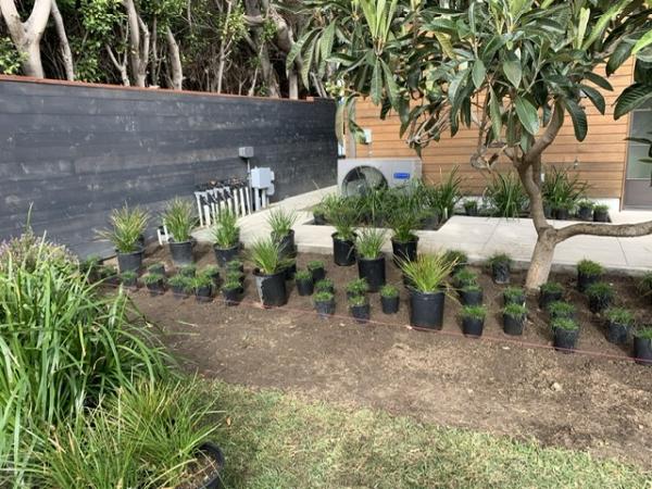 Barba Landscape & Design