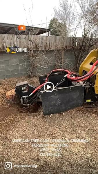 American Tree Care