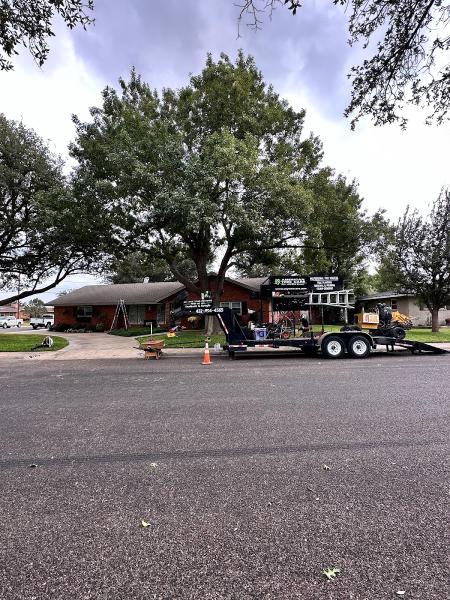 American Tree Care