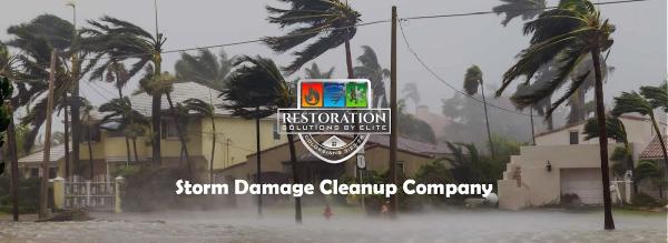 Restoration Solutions by Elite LLC