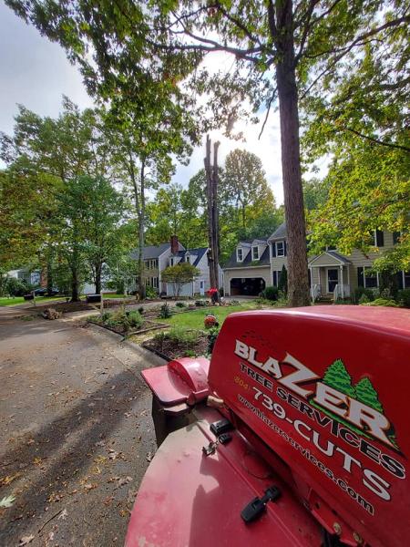 Blazer Tree Service