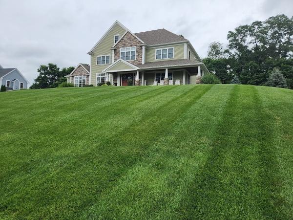 Cole Landscaping