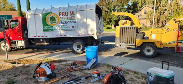 Pro M Tree Service