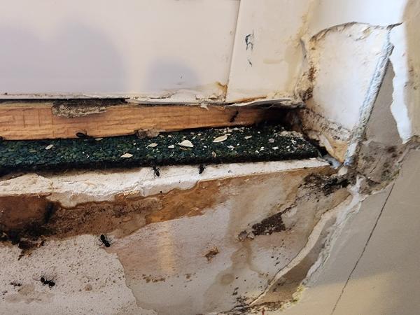 Davenport Handyman Services
