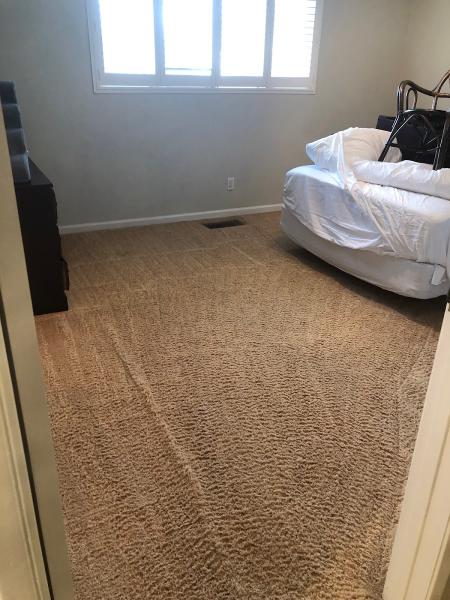 Advance Carpet and Upholstery Cleaning Inc.