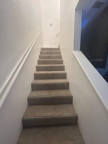 Advance Carpet and Upholstery Cleaning Inc.