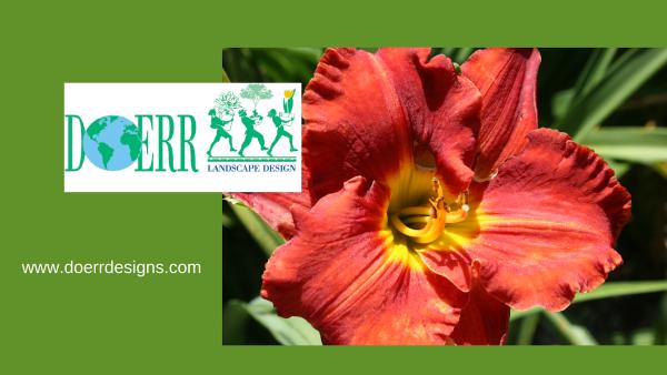 Doerr Landscape Design
