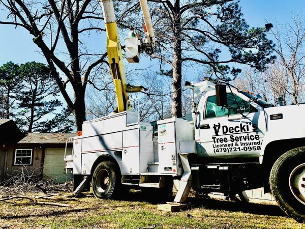 Decki's Tree Service