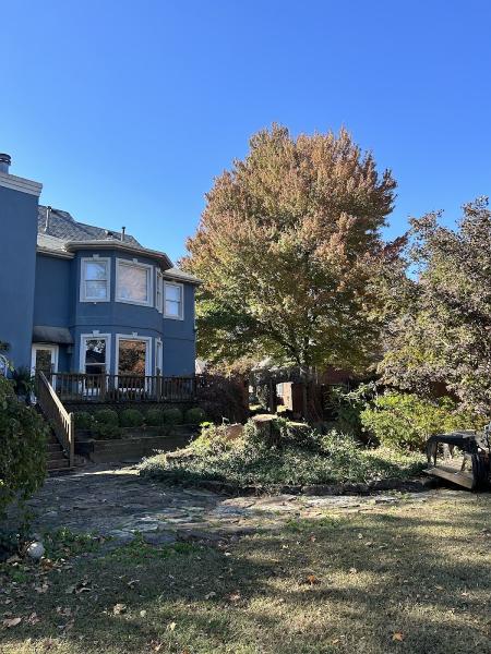 Decki's Tree Service