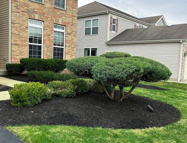 Quick Cut Lawn Care Services