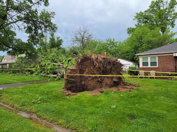 Danka Tree Care Co.