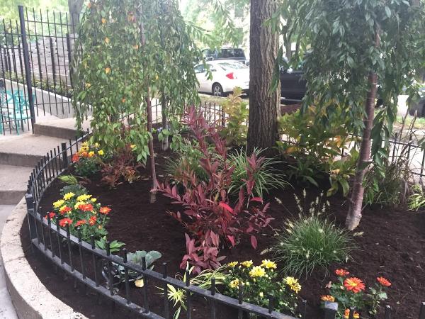 Patch Landscaping & Snow Removal