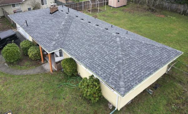 Bee Roofing and Exteriors