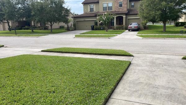 Guardian Lawn & Landscape