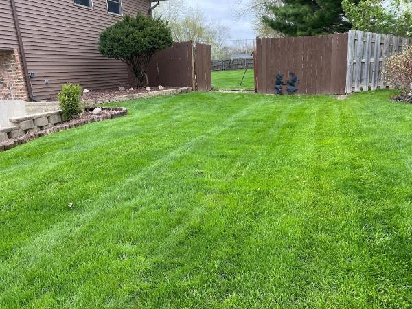 Azpeitia Lawn Care LLC