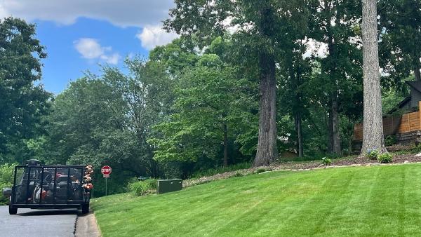 Sprucing Up GA